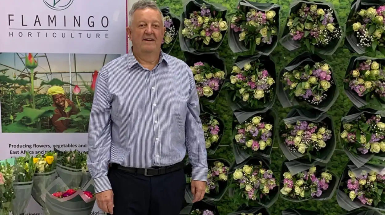 EU plant deliveries hit as Kent border delays continue