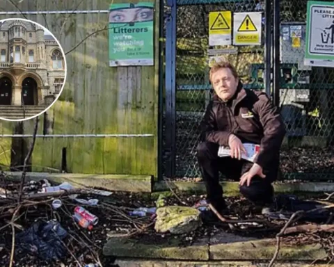 Ealing Lib Dems slam Labour over tree care failures