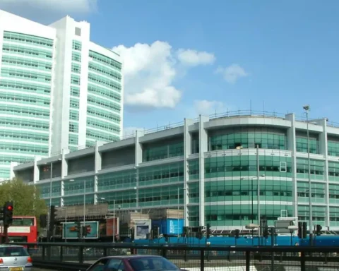 Ealing: London North West University plans 3-year climate strategy