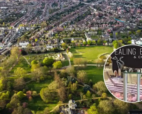 Ealing butcher fined £50,000 after worker suffers severe injury