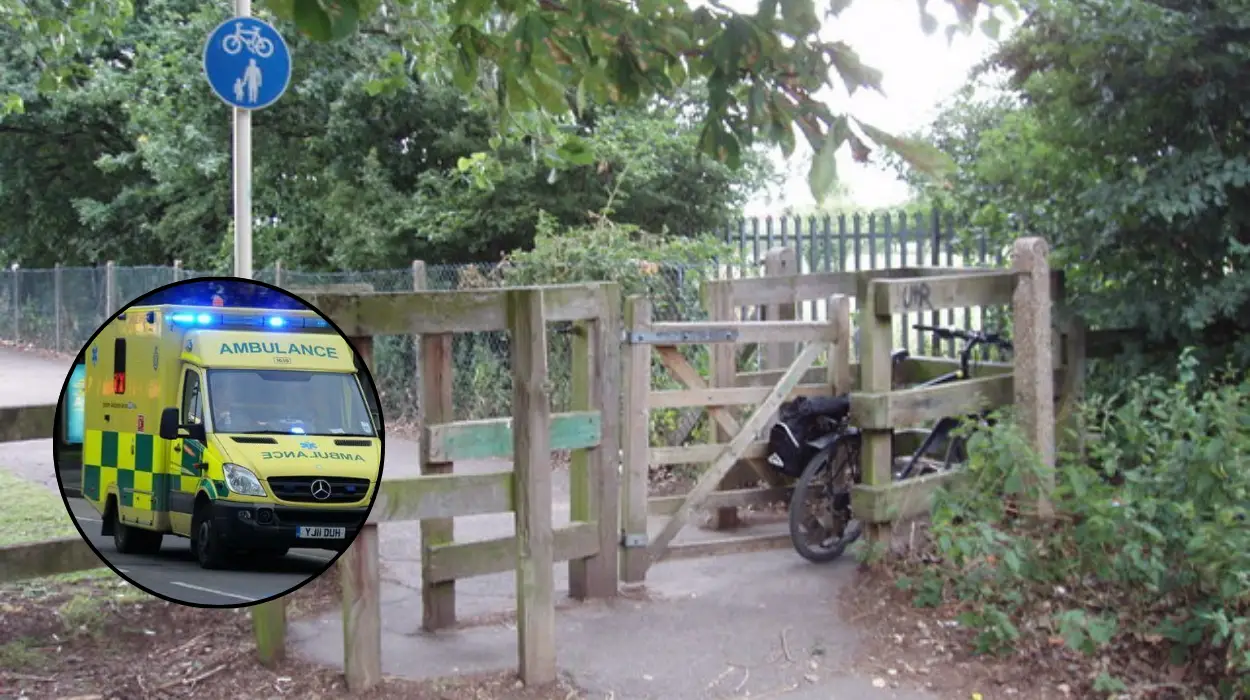 Ealing dog attack leaves three-year-old girl hurt