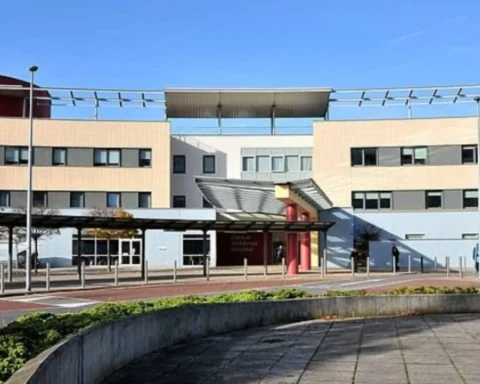 Ealing patients benefit from language support app