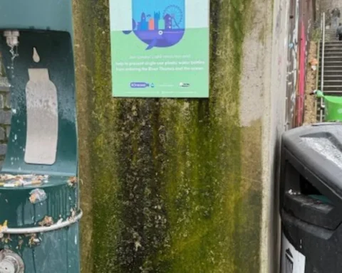 Ealing residents and commuters seek revamp of North Acton Square