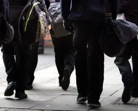 Edurio poll 60% of academy leaders see no impact from bill