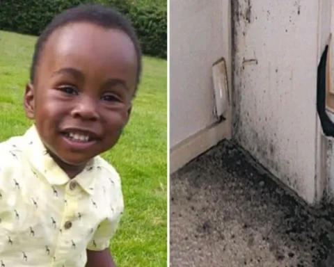 England landlords must fix emergencies within 24 hours