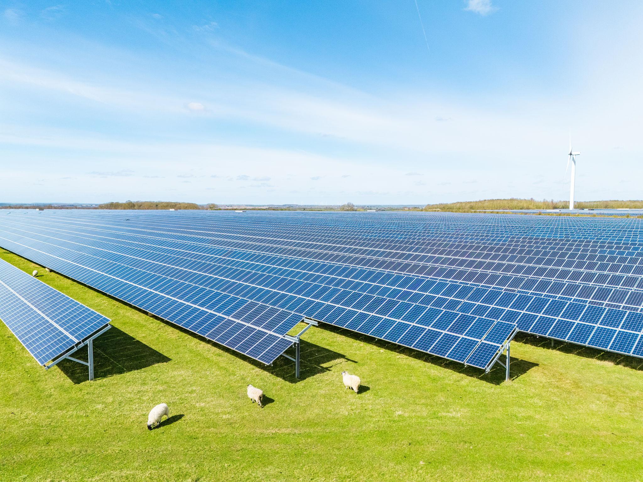 UK energy policy update renewable wind turbines and solar energy production