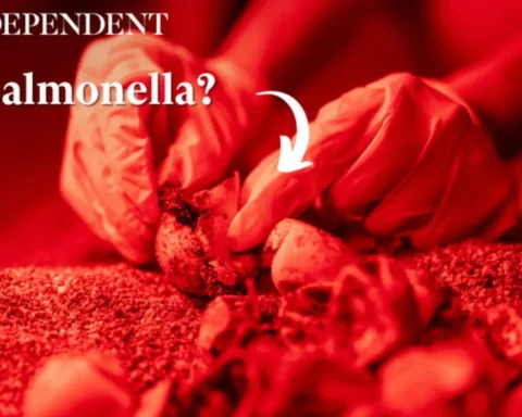 FDA issues Class I recall for eggs sold nationwide