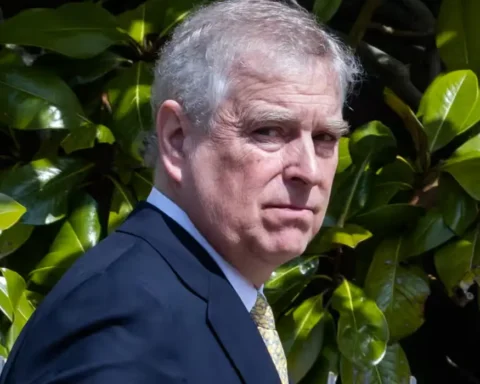 FOI act misused to prevent access to Prince Andrew files, experts claim