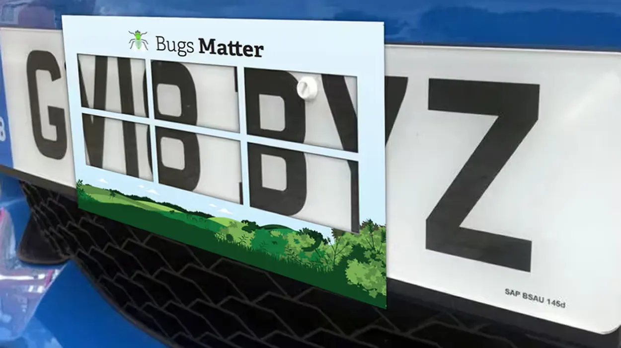 Falling bug splat rates raise insect decline concerns