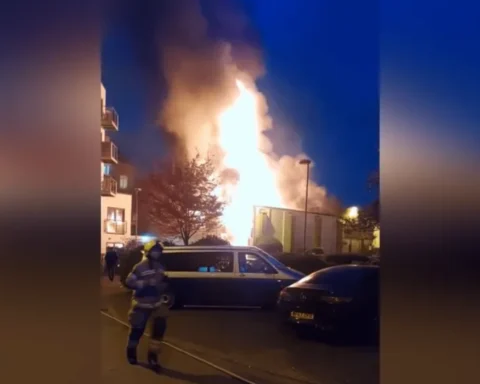 Fire crews tackle blaze at Forest Hill shop