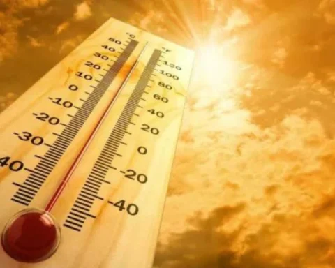 Global Heatwave Crisis Record Temperatures and Climate Impact Across Continents