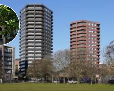 Hackney Council blocks two large HMO developments