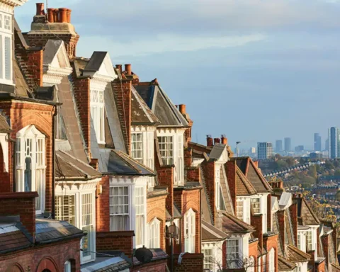 Haringey Council prepares for regulator's visit with mock inspection