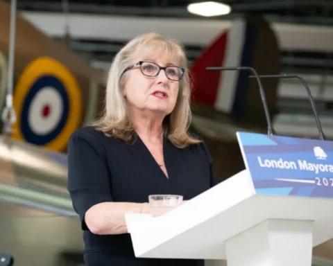 Harrow opposition leader Susan Hall condemns ‘woke’ tree debate