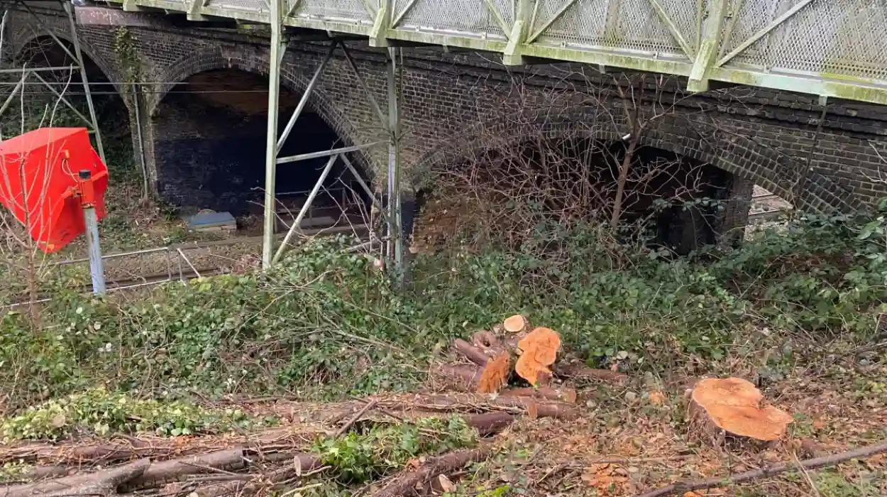 Havering Friends of the Earth slam Network Rail’s secrecy