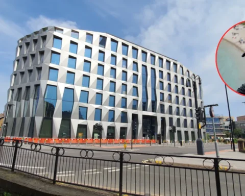 Hounslow Council fines firm over fatal forklift incident