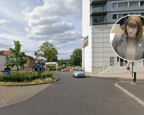 Hounslow Councillor Cllr Dunne faces resignation call after slur