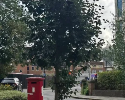 Hounslow council boosts accessibility for blind residents