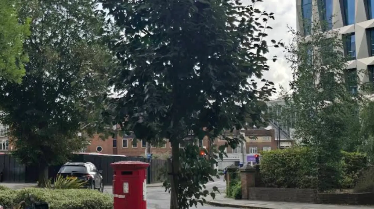 Hounslow council boosts accessibility for blind residents