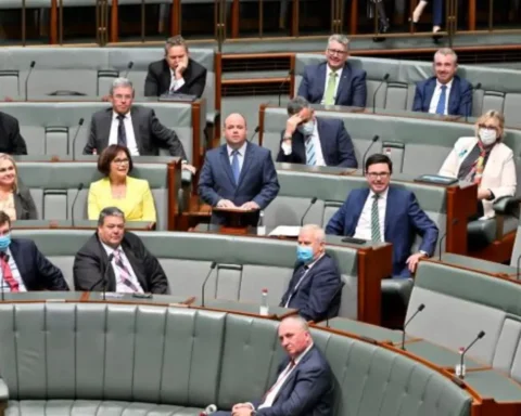 How do backbench committees influence the legislative process?