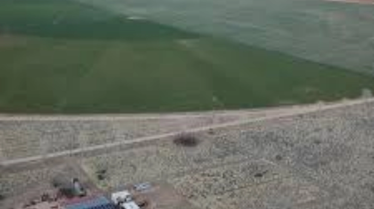 How farming is drying up Arizona’s water supplies