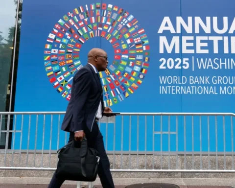 IMF says global debt could reach 100% of GDP by 2029