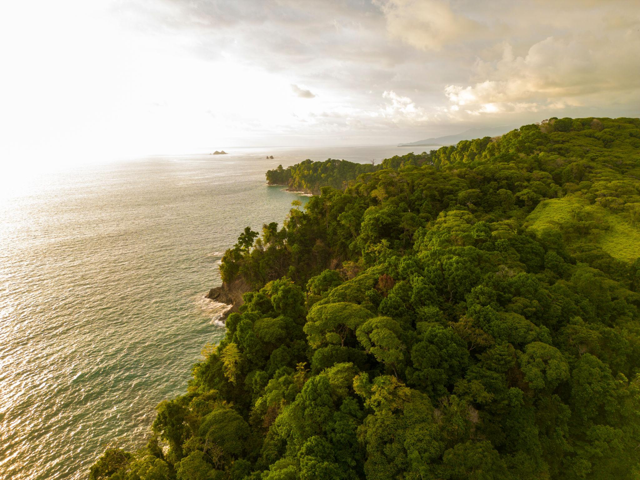 Central America Seismic Activity Rises After 5.93 Costa Rica Quake 2 Central America seismic activity map showing earthquake zones and fault lines