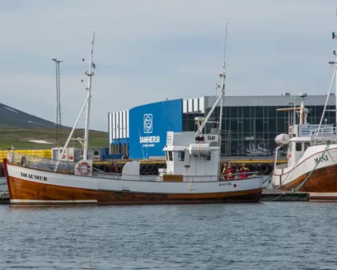 Iceland's leading fishing firm wins UK judgment against artist over “Fishrot Scandal”