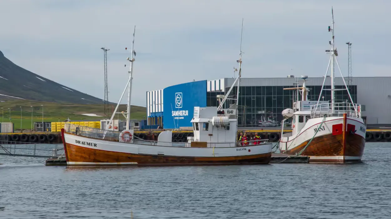 Iceland's leading fishing firm wins UK judgment against artist over “Fishrot Scandal”