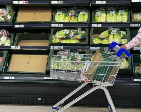 Importers Warn of Food Shortages in UK Due to New Brexit Checks
