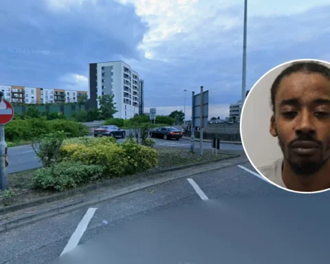 Javan Lee convicted in fatal Harrow houseshare dispute