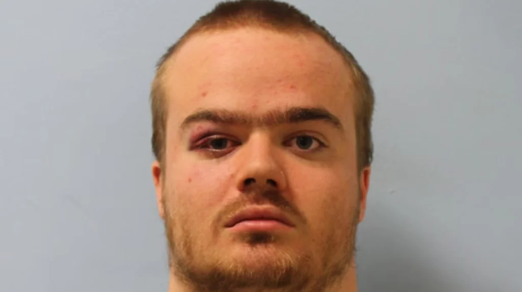 Jonty Bravery convicted over Tate Modern balcony and nurse attacks