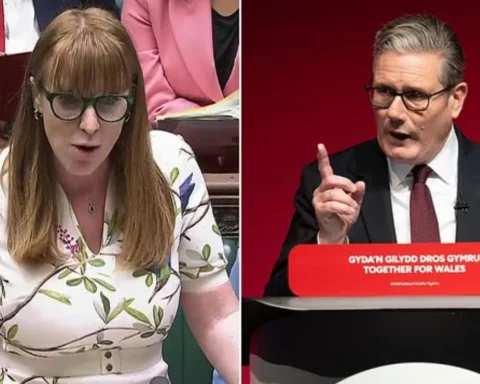 Keir Starmer urged to halt Angela Rayner's workers' bill