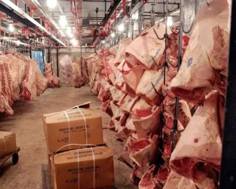 Keir Starmer's deal to bring in low-grade US beef