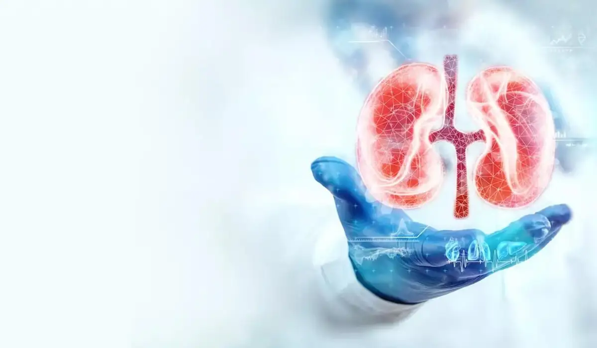 Kidney Health Inequalities