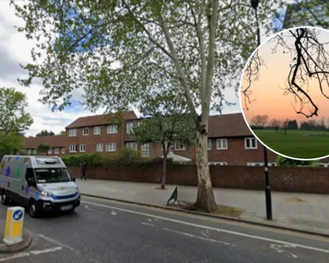 Lambeth Country Show cancelled amid rising costs and legal woes