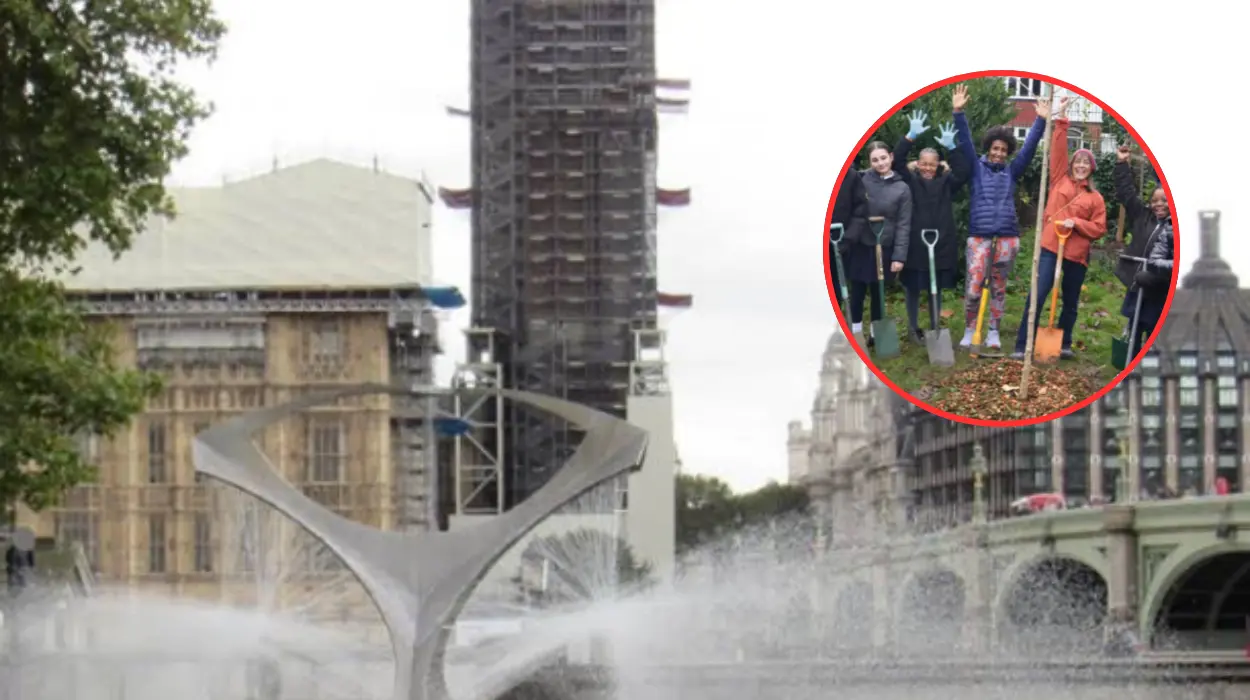 Lambeth surpasses target after planting 12,000 new trees