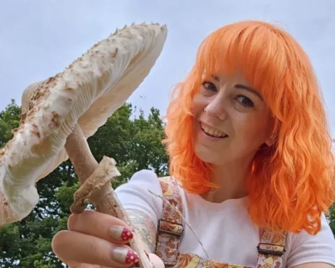 Leicestershire police officer misconduct over mushroom foraging incident