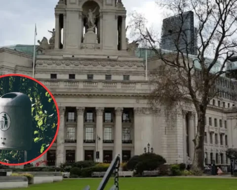 Linda Kelsey sues Tower Hamlets over injury from 150kg park bin