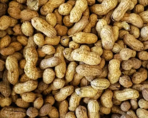 Lower allergy risk from peanuts on flights