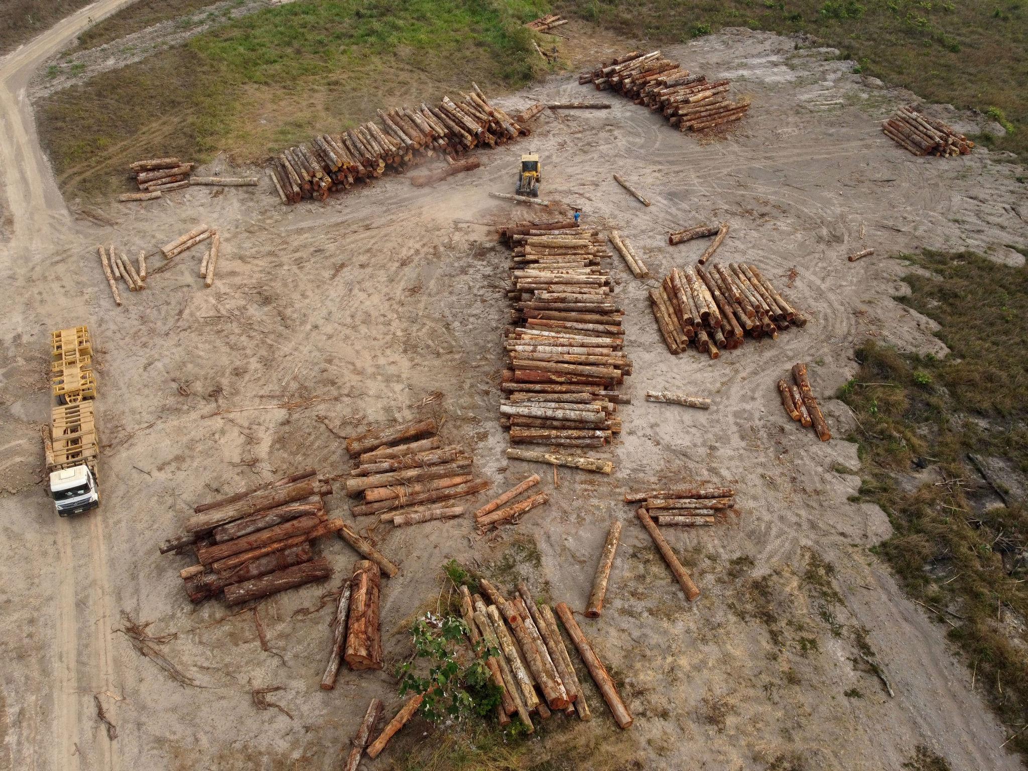 Brazil Deforestation Crisis Sparks New Global Climate Fears in Amazon Region, 2026 3 Brazil deforestation crisis affecting the Amazon rainforest in 2026
