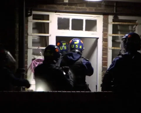 Major cannabis smuggling ring dismantled in London