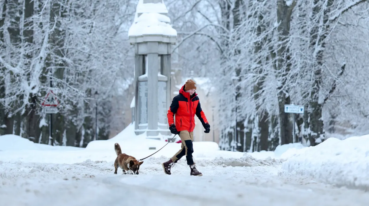 Met Office issues snow and ice warning as schools close across Scotland
