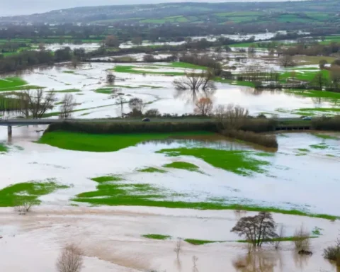 Met Office warns heavy rainfall and 50mph winds could hit Britain