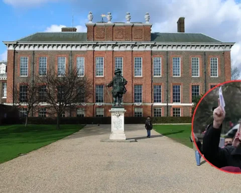 Met Police defends facial recognition at Robinson Rally in Kensington