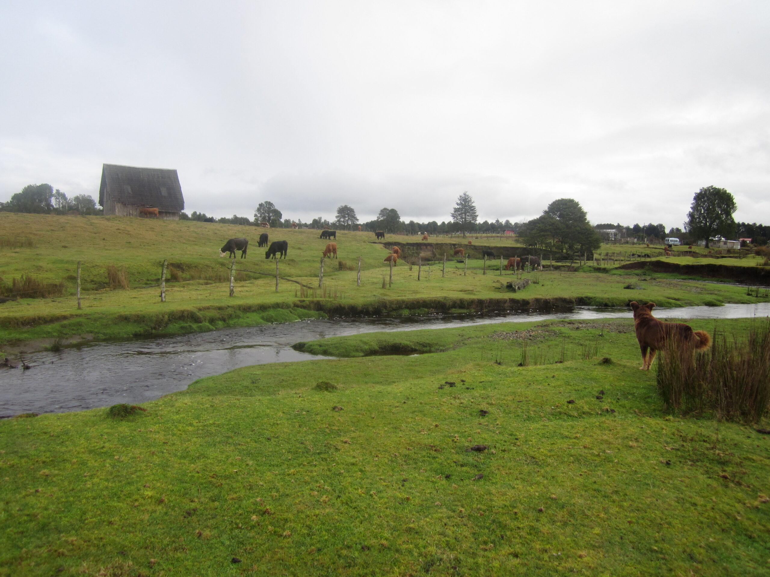 preserved structures at South America prehistoric site Monte Verde