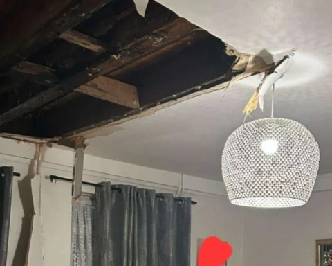 Mother of three in Southwark frightened by second roof collapse