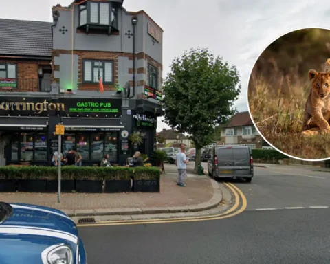 New Barnet Project Aims to Protect Threatened Wildlife