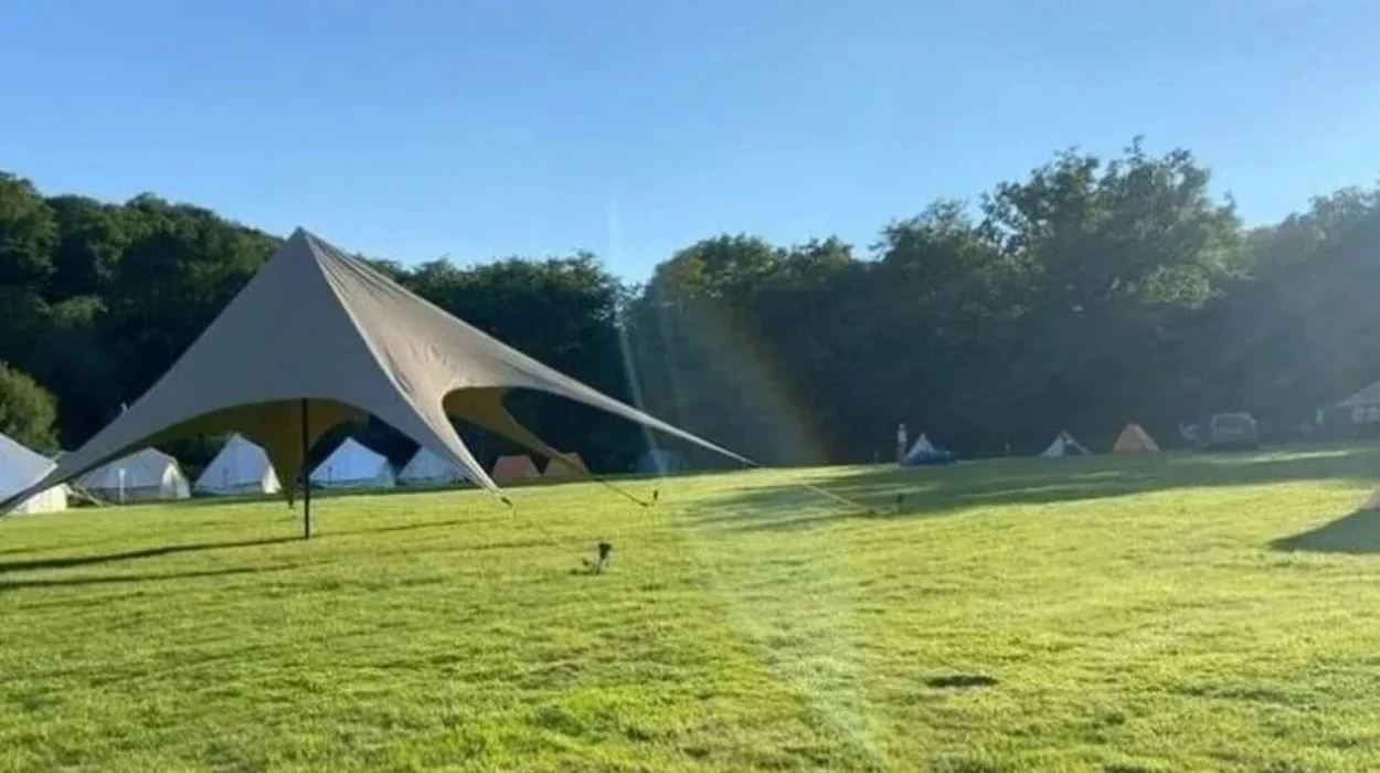 Newham Council Faces Backlash Over Campsite Sale Plan