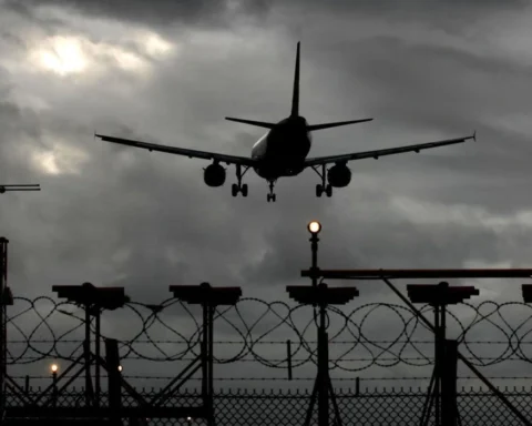 Number 10 denies ‘shambles’ as migrant deportations delayed